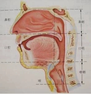 核酸檢測的標本采集拭子關(guān)鍵點是什么？